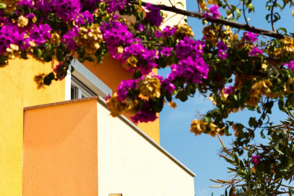 Apartments Villa Orange ザダル エクステリア 写真